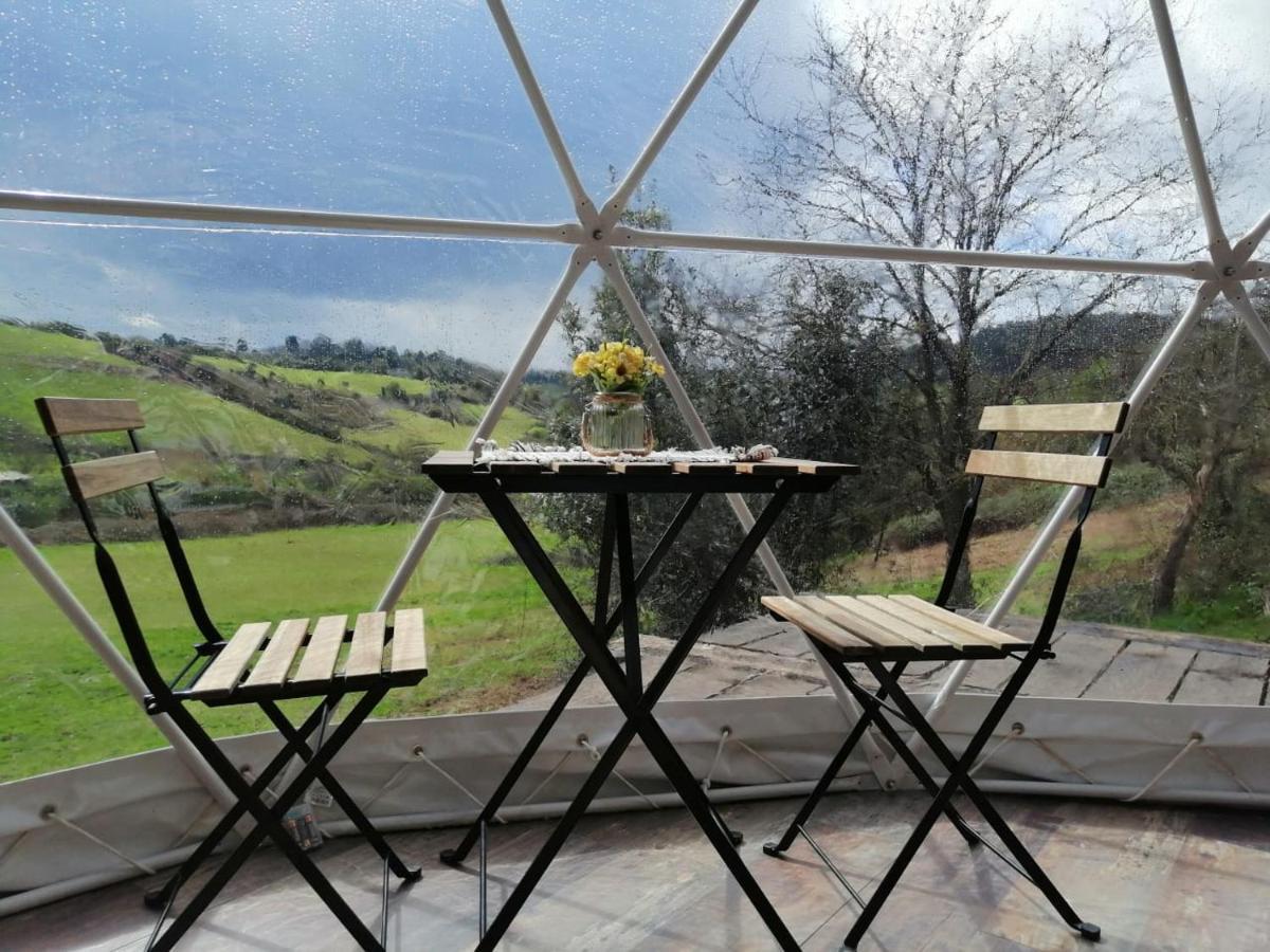 Glamping Quintana 호텔 기욘 외부 사진