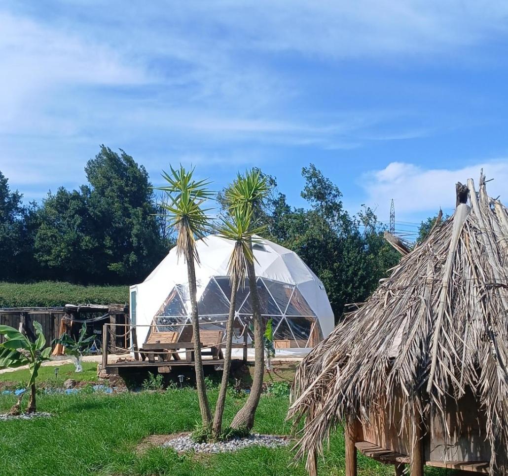 Glamping Quintana 호텔 기욘 외부 사진